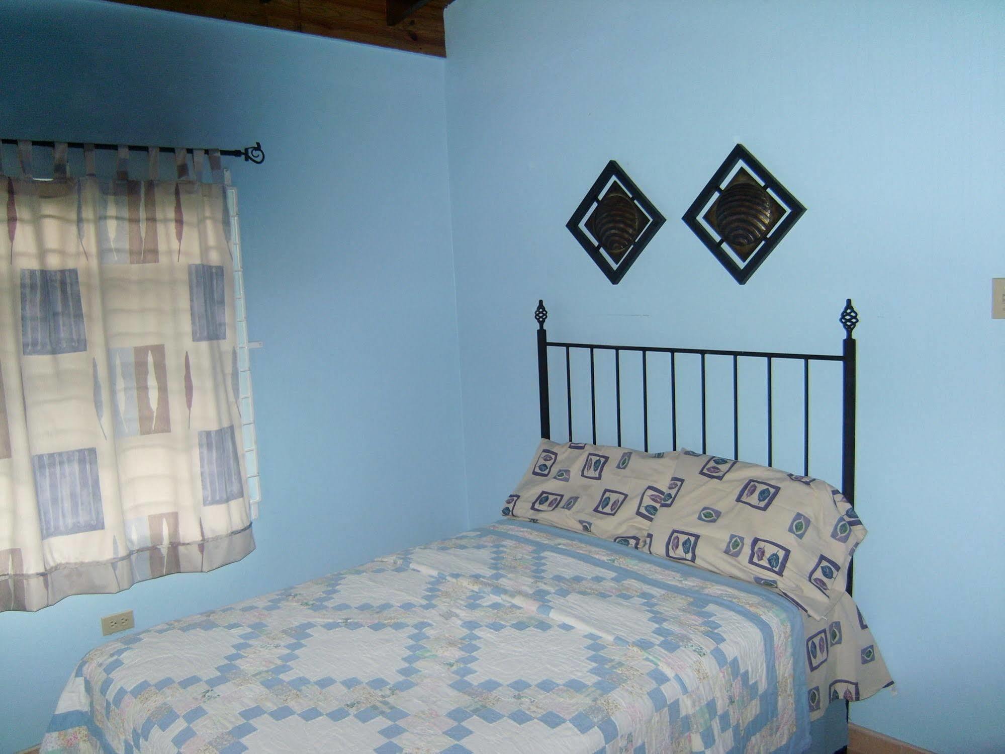 New Kingston Guest Apt At Sonoma Estate Kültér fotó